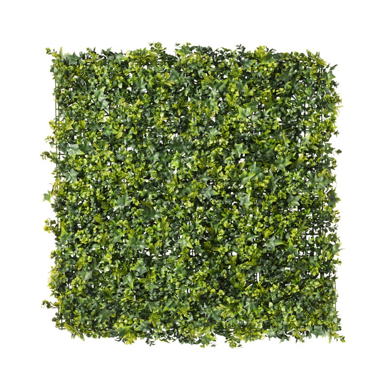 mur végétal lierre mur végétal lierre